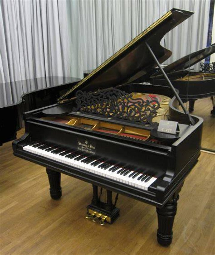 Exploring the Art and Science of Pan Piano: A Comprehensive Guide