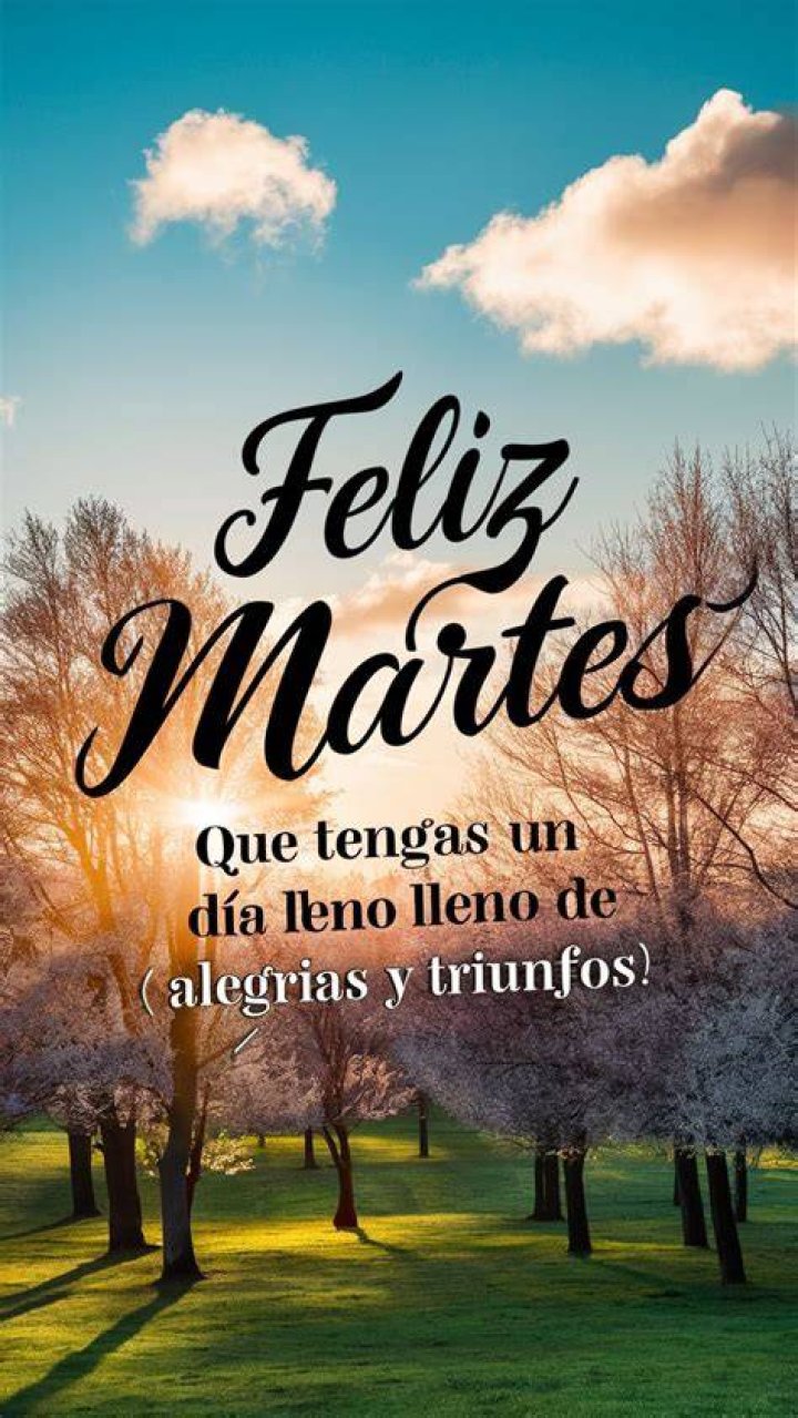 Feliz Martes: The Joy of Embracing Tuesday
