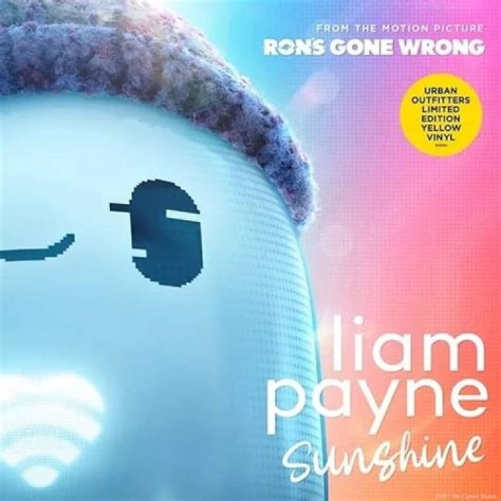 Liam Payne: The Sunshine of Modern Pop