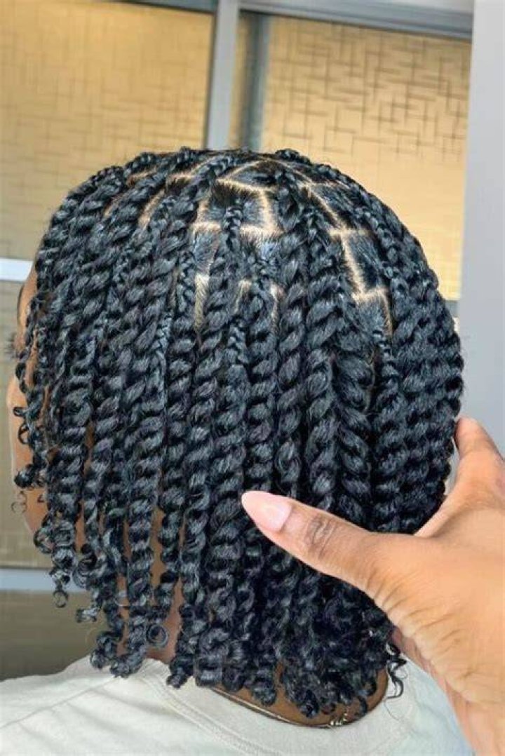 Natural Hair Styles: The Beauty of Two Strand Twists