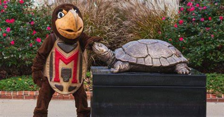 Testudo Times: Your Ultimate Source for University of Maryland Athletics News