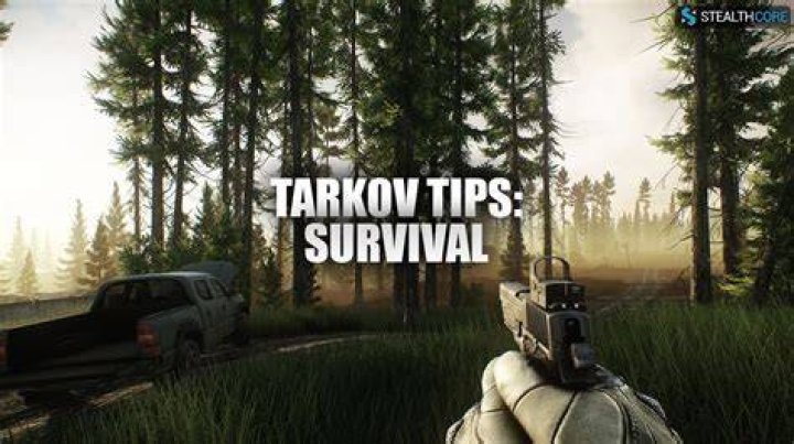 Ultimate Guide to Setting Up Tarkov: Tips, Tricks, and Strategies