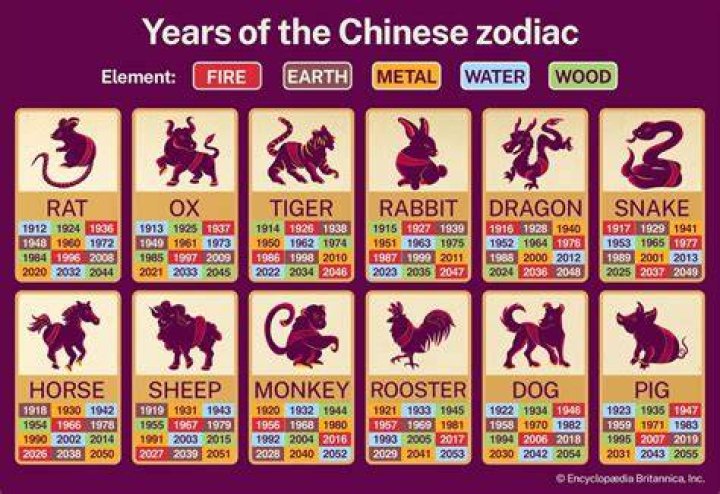 Understanding the 1946 Chinese Zodiac: A Comprehensive Guide