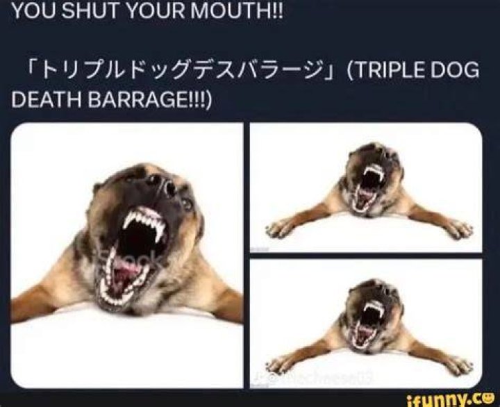 Understanding the Triple Dog Death Barrage: An In-Depth Analysis